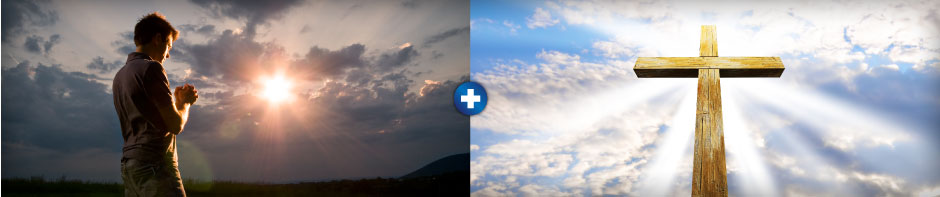 HCF-web-banner_197px_11