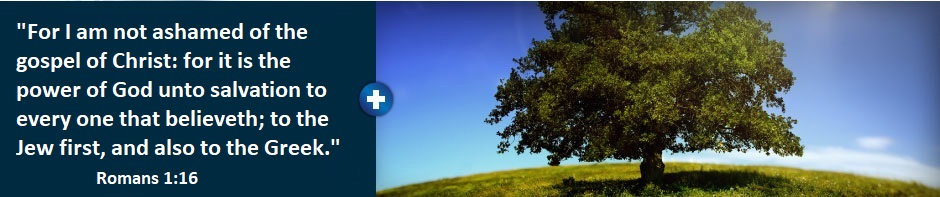 hcf-web-banner_romans_1_16_2